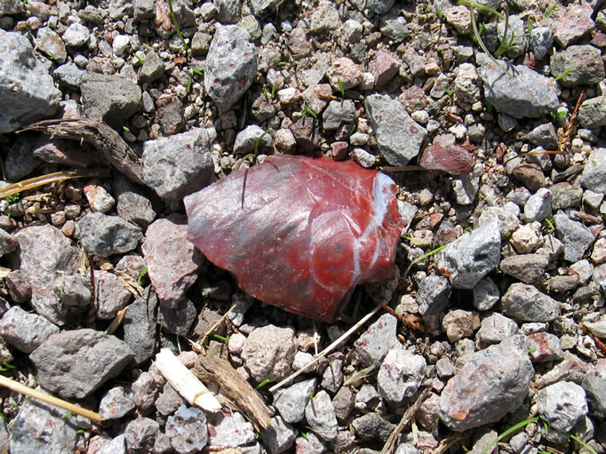 A water source as notable as this one would certainly have been used by the Indians.  Finding these flakes from prehistoric tool making came as no surprise.