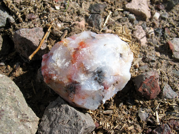 An interesting bit of agate.