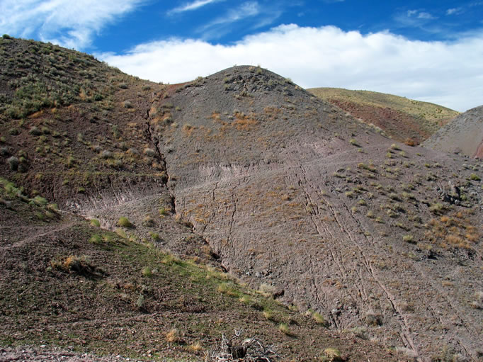 Behind us, the hills above the spring are criss-crossed with burro trails.