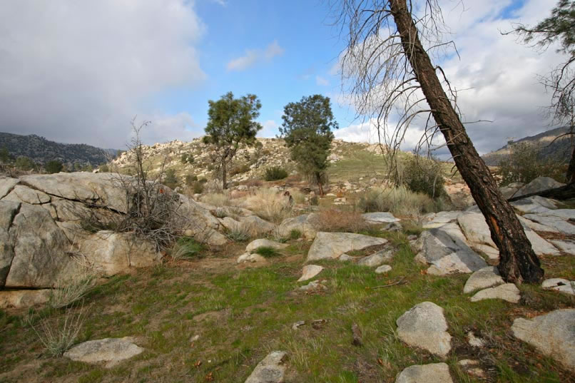 This last site is located high on a hill adjacent to the sinuous river below.  There's a small habitation and food preparation site here, as well as a lone pictograph.