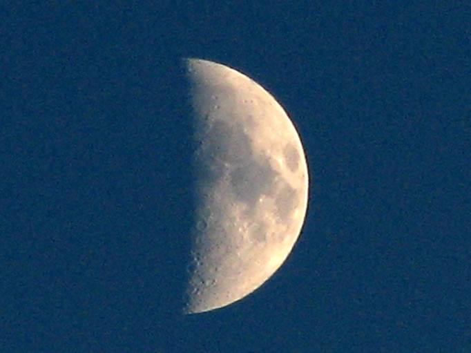 The moon cast a silvery glow over the sleeping desert. 