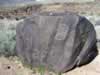 This boulder marks the beginning of the Little Petroglyph Canyon trail. (137kb)