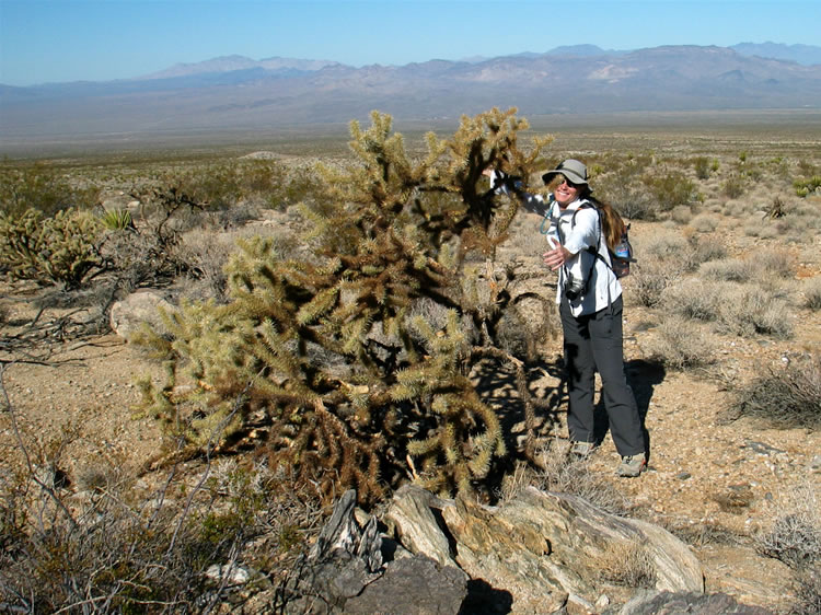 Niki gives some love to a spiky cholla.