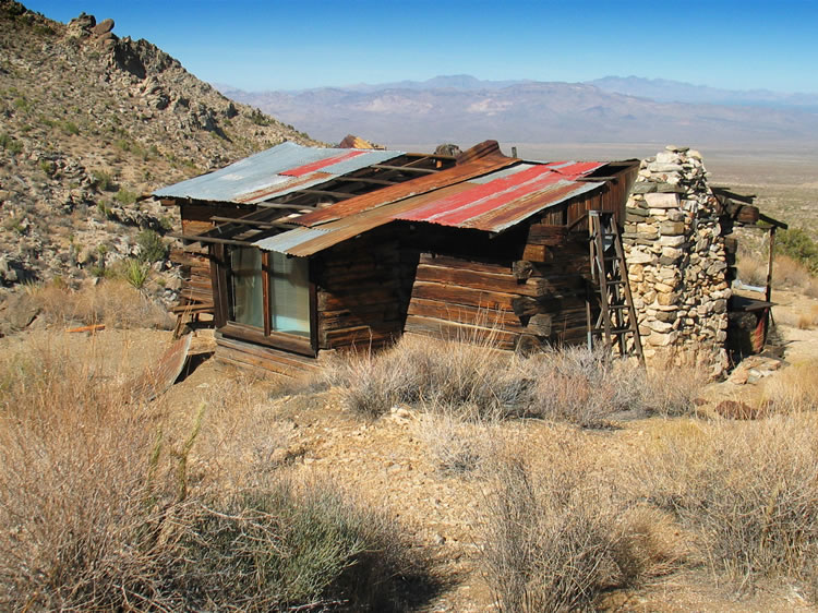 With the exception of the roof, the cabin appears stout and remarkably free from vandalism.