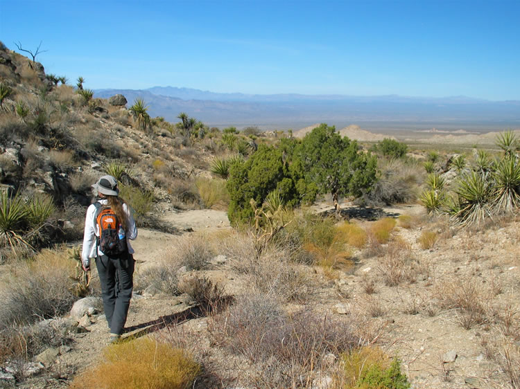 Just past the juniper trees we rejoin the road and start back along our route.  On the return trip we'll make a detour to see what's left at two old mine sites.