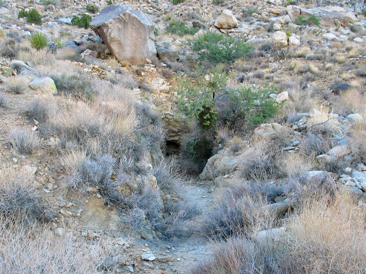 We climb back above the ore hopper to take a look at the tunnel.