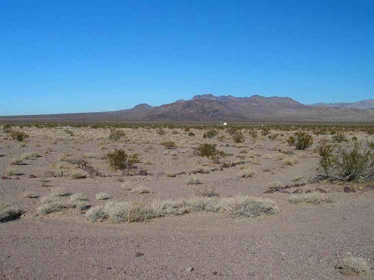 Here you can see part of a large circular driveway.  We begin to wonder if this was one of Patton's Desert Training Center sites.  We've encountered several of them in the Mojave.