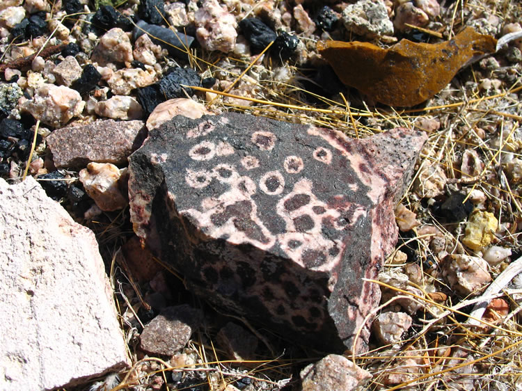 Nearby we find a very interesting rock.  The patterns are quite colorful and unique.  Our question as to where it came from will soon be answered!