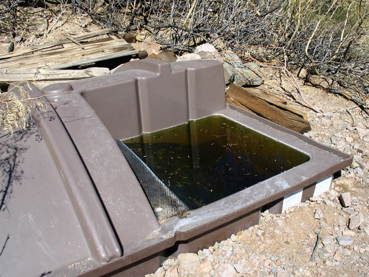 There's plenty of water available even though this is the driest year in ages.