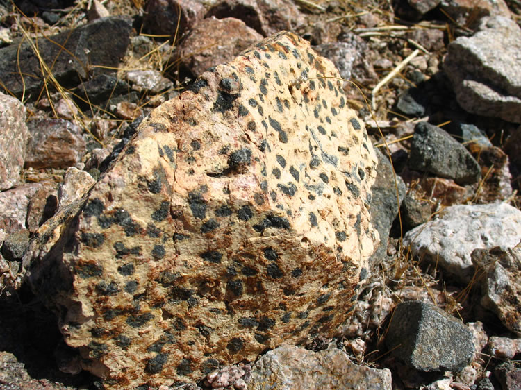 Here are some other shots of the leopard rocks.