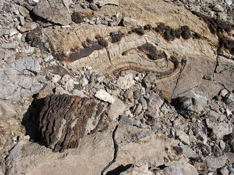 Here's another view.  Note the folded swirls in the rock layers similar to those that we learned about earlier.