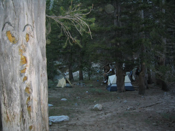 A sunset view of camp from the spooky ol' tree.