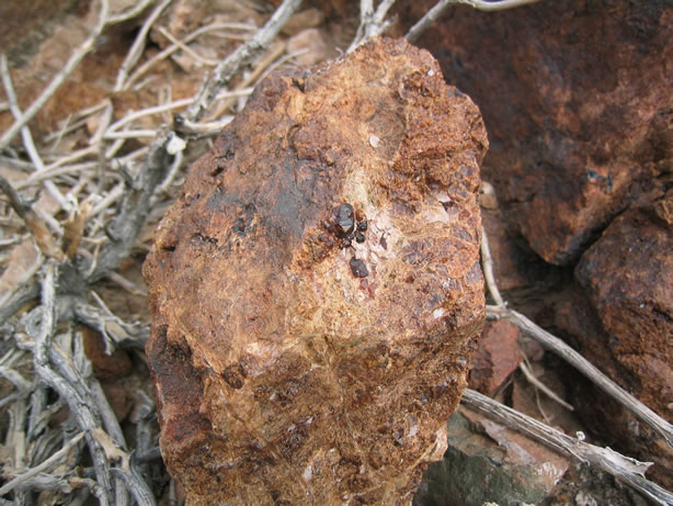 garnet crystals