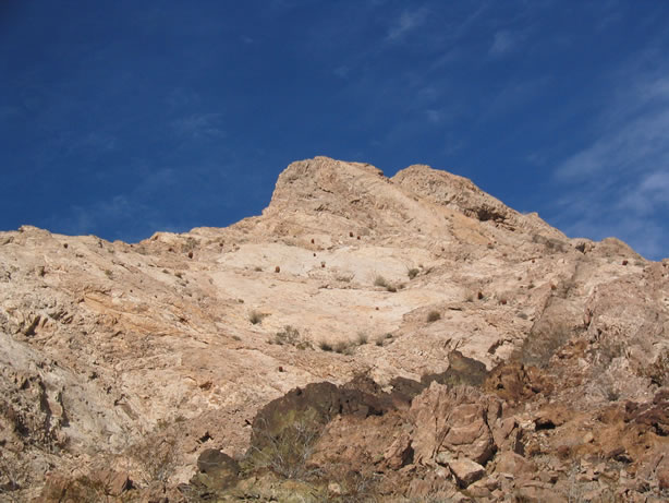 Notice the barrel cacti dotting the hillside.