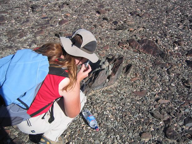 Niki photographs a whole family of fishhook cacti.