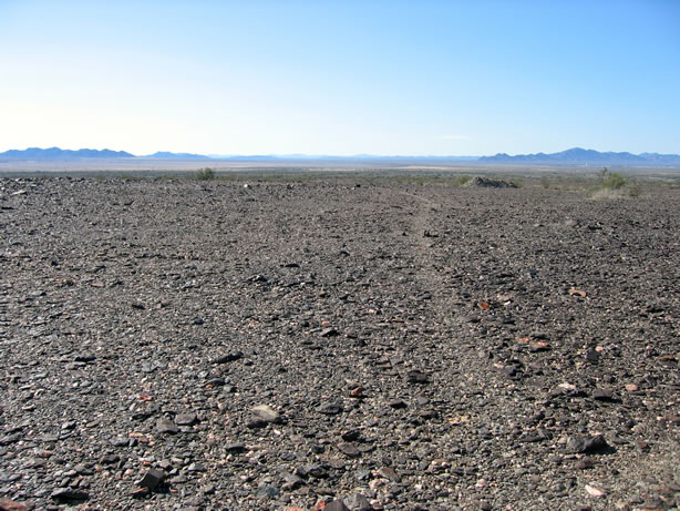 The trail appears headed towards the Mule Mountains.  The Mule Tank petroglyphs are about 8 miles from our present location. 