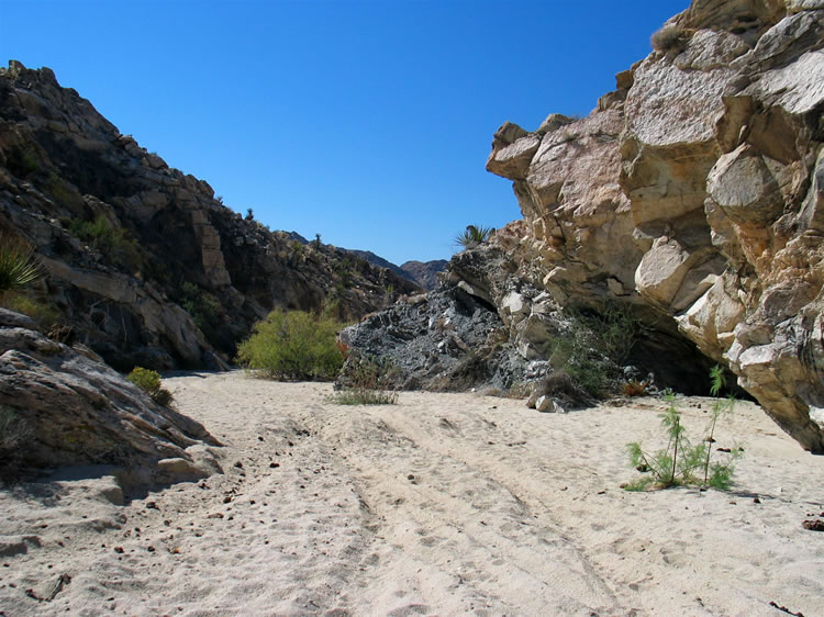 This is a new area in the Old Woman Mountains for us, so we're excited to see what we can find.  Our initial route is up a scenic wash that winds its way deeper and higher into the hills.