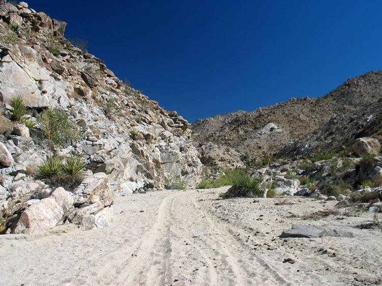 Although we see old tire tracks up the wash, we're happy to be hiking since we always seem to see more than when we're driving.