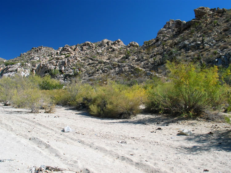 Off to the right we spot the stacked stone foundations of a shelf road that climbs out of the wash.  Of course we climb it to see where it goes.