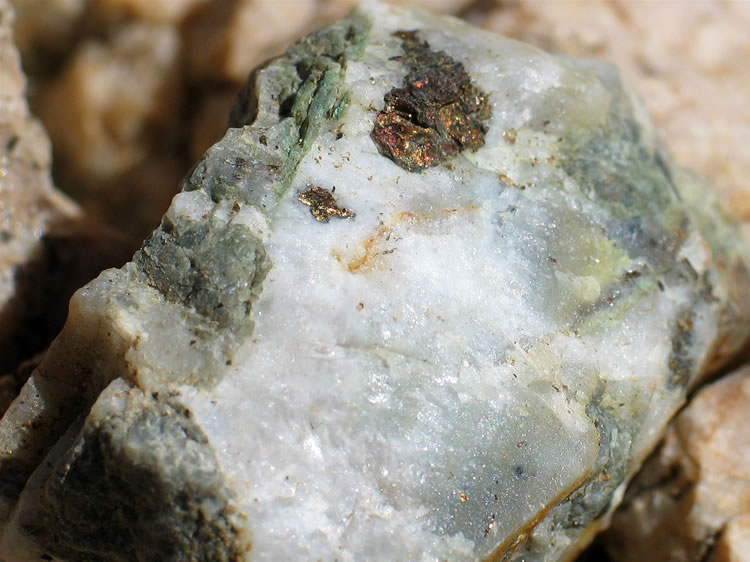 We also find a few interesting rocks up here.  These appear to contain chalcopyrite.