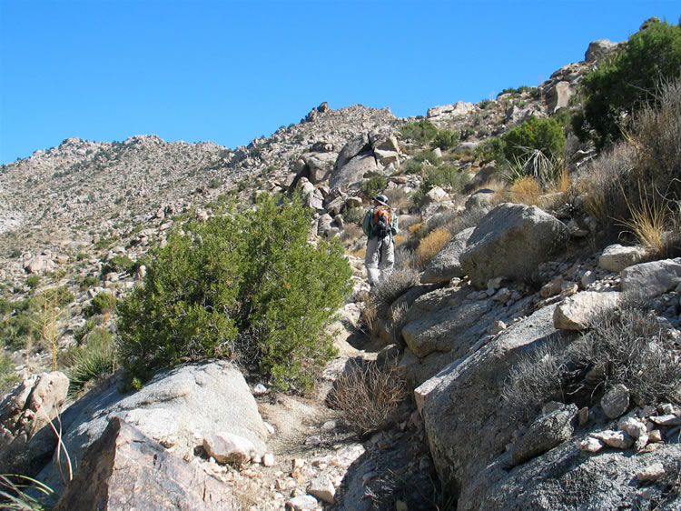 We continue up the trail toward some tailings dumps that we see in the distance.