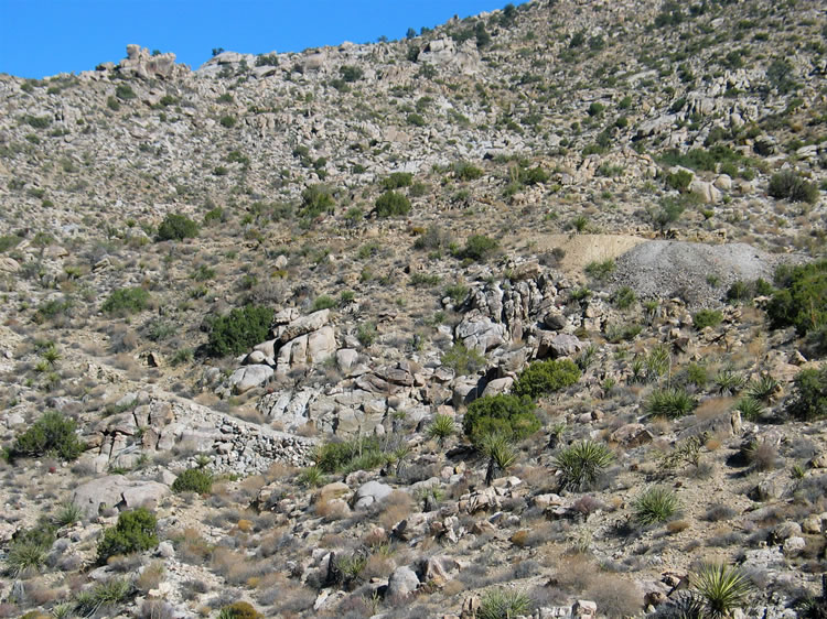 A closer look at the two-toned tailings.