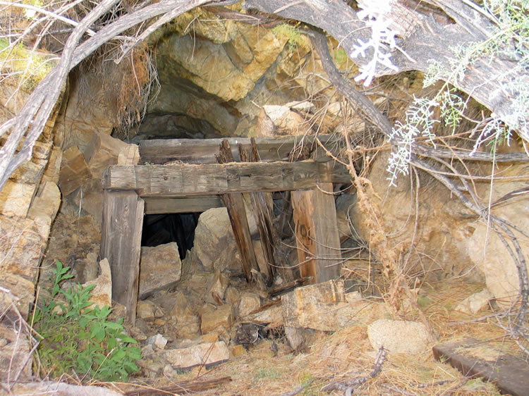 Nearby is the entrance to a caved in adit.  Mention is made in a mining journal that the main workings consisted of an 800' long adit which connected to a vertical 60' shaft.  It's quite possible that this is the adit and that the shaft we were just at is the shaft that is described in the journal.