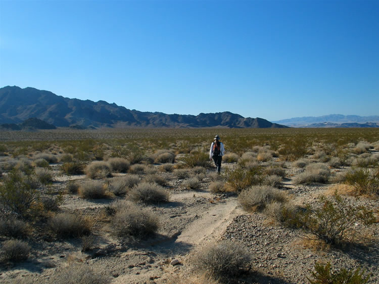 With waypoints loaded in the GPS we set off to find a distant canyon and the hoped for cabin.