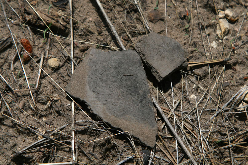 Some large pottery fragments are the first things that catch our eye.