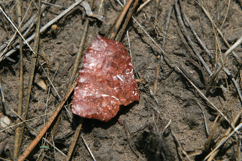 Then, nearby, we spot a partially intact projectile point.