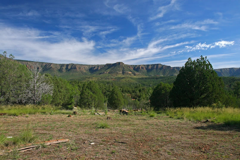 Finally, we're all loaded up and ready to head off to a nearby fossil site along Forest Road 29A near Tonto Creek.