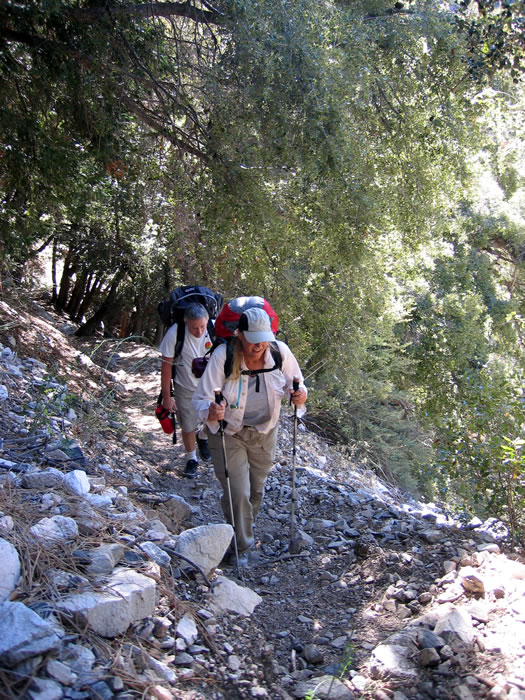 Not so frisky now, as we slog up the switchbacks which will give us a 1,000' vertical gain in the first mile.