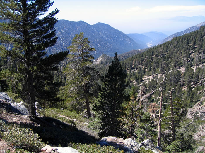 In the distance, Mill Creek snakes its way down the canyon.