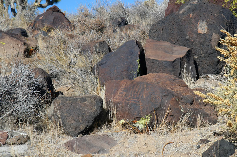 After a bit more trekking, the satellites and topo map agree that we've arrived.  Dropping down into our wash, we find that there are petroglyphs all around us!  We didn't expect to find any until into the canyon proper, but we're not complaining!