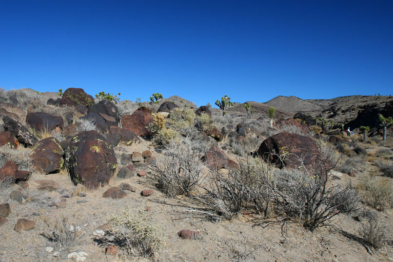 Here we're looking from this lower site up the wash toward the canyon.  You can just make out Jamie to the right of the photo.  She's using her reflector to try to illuminate a historic inscription hiding in the shadows.