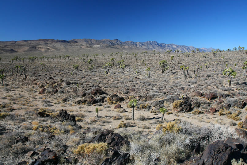 She also gets a nice view of the lower site where we first entered the wash.