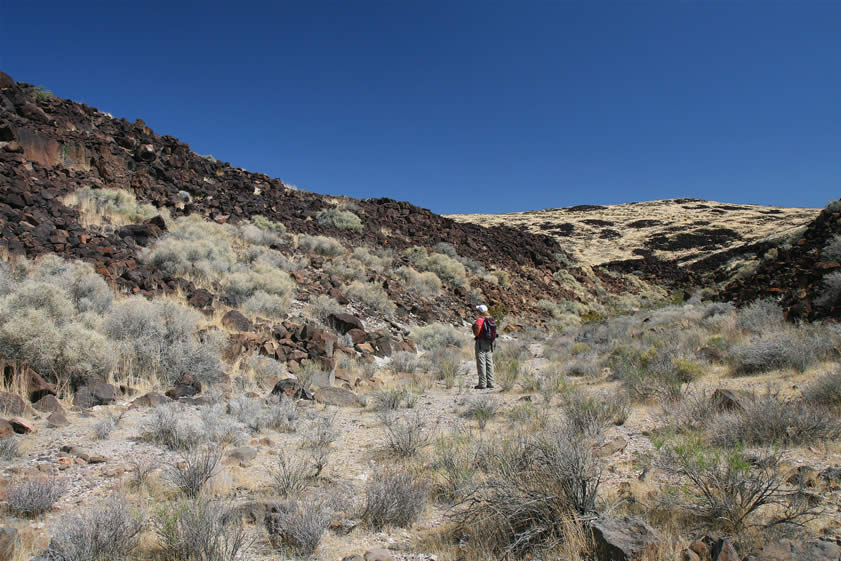 After a  bit of slithering in the Lizardmobile and some cross country hiking, we arrive at the mouth of a drainage that we want to check out.