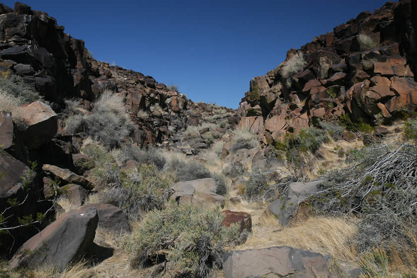 Jamie finds a nice little wash with numerous depressions in the bedrock that would hold water.  These tanks are a good sign that there might be some rock art in the area.