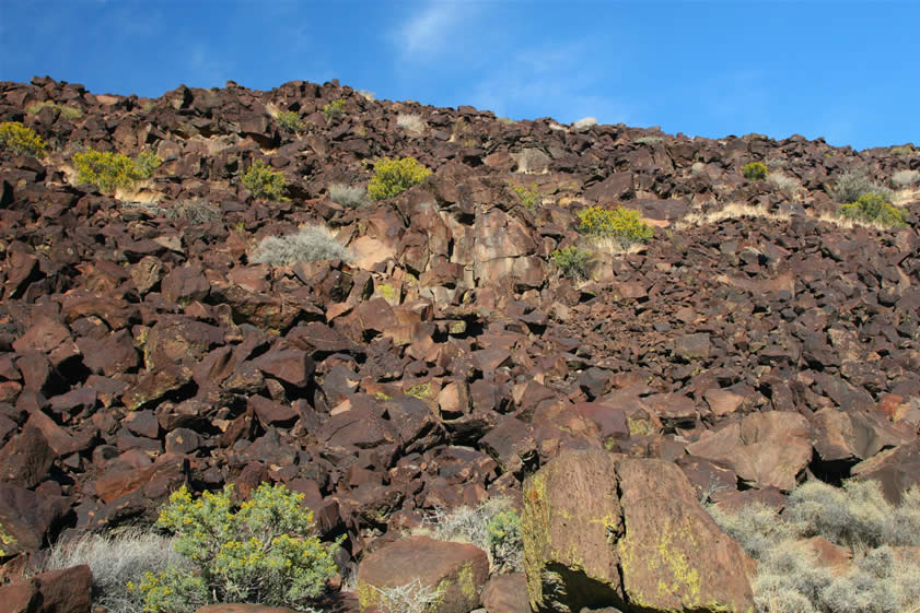 Here's a scenery shot of the northern slope bathed in the warm glow of afternoon light.