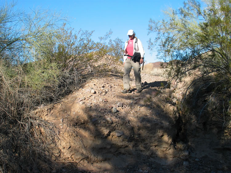 It's still early morning as we drop into the wash and start heading east toward the old rock collecting areas.  The wash proves to be slow going but we soon make a discovery.