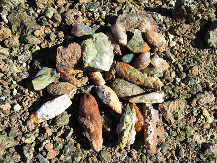 Here's a group shot of some of the nodules that we'll be taking home.