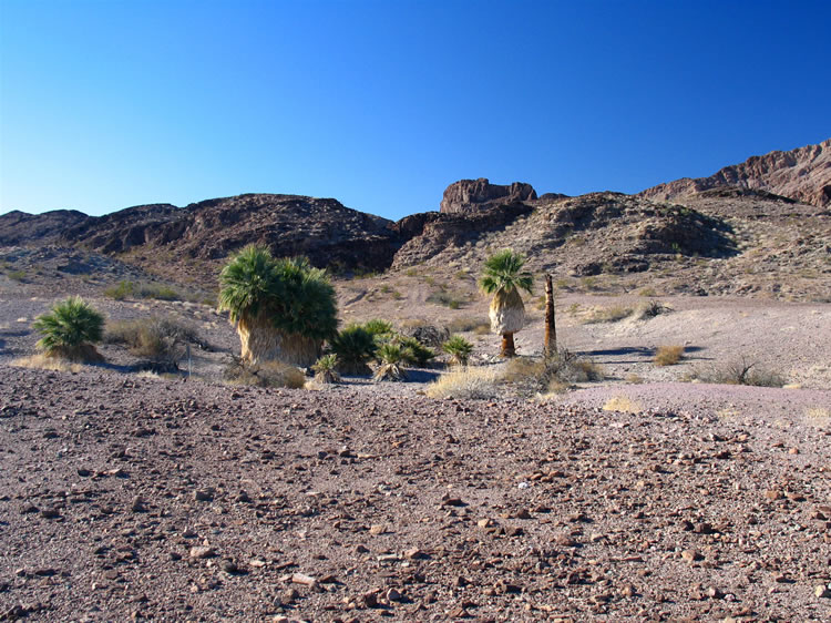The juxtaposition of this tiny green oasis in the middle of such an arid landscape is truly breathtaking.