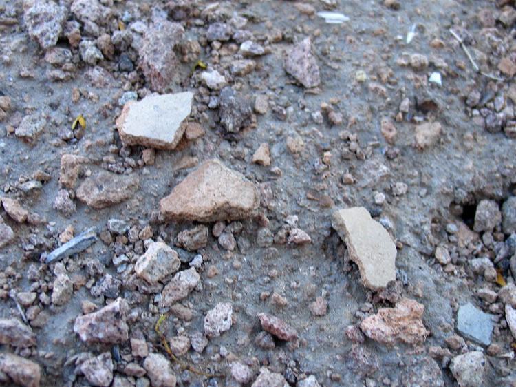 There are also scattered pottery fragments.