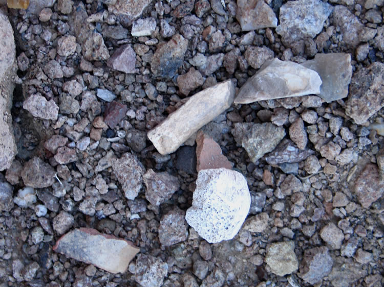 In addition to the chips and sherds we also note that a fair number of bone fragments can be found as well.  This area has the feel of a temporary hunting camp and must have been quite popular due to the reliable spring.
