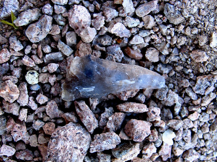 The best find is what appears to be a small translucent agate point.