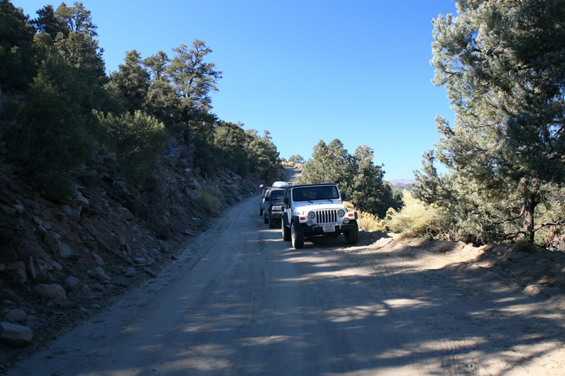 Our first stop today is at a small petroglyph site on the slopes of Hunter Mountain.