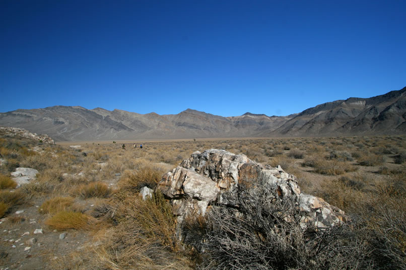 Finally, we pass through the gap and enter the margins of our hunting area.