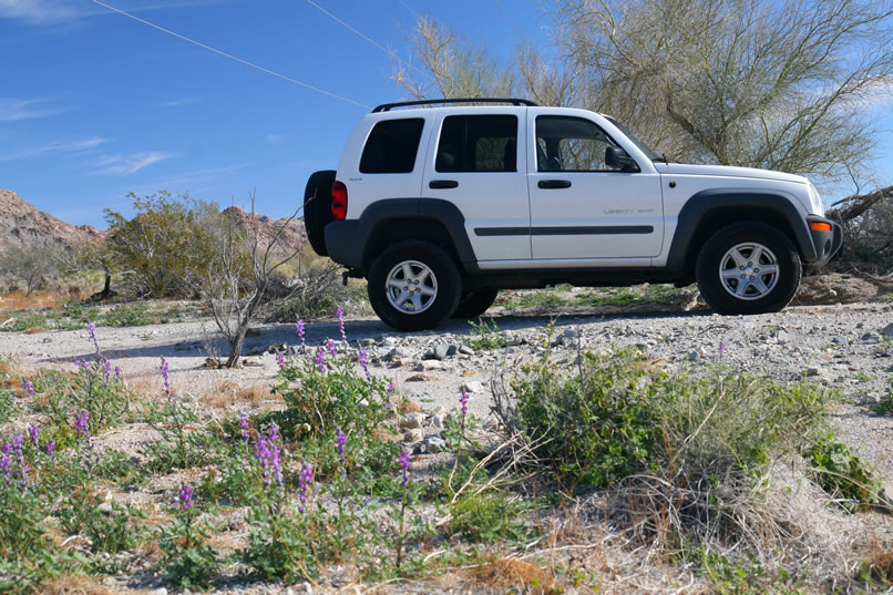 It's a beautiful morning for some exploring!  We've found a nice spot near the wilderness boundary to leave the Jeep and are ready to head out!