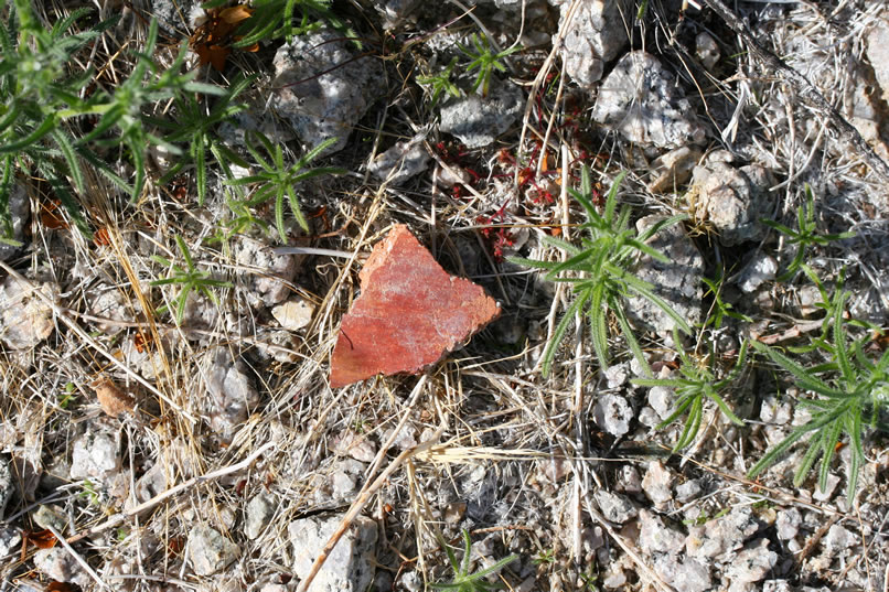 ...a pottery fragment!  Now we're getting the feeling that this area might have even supported seasonal forays by small groups of hunter/gatherers.