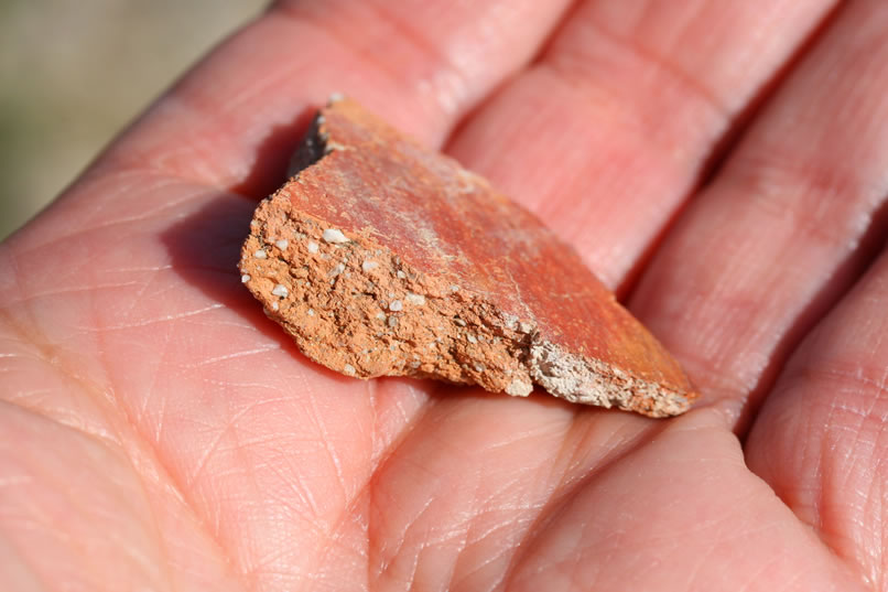 Here's a closer look at the pottery fragment.